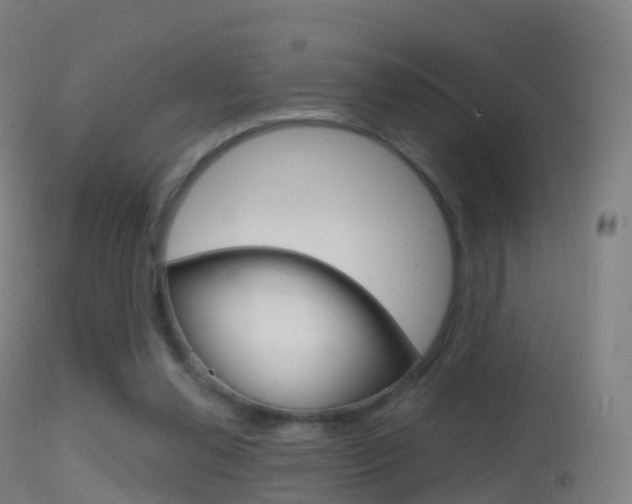 X0000114670252200910211016
