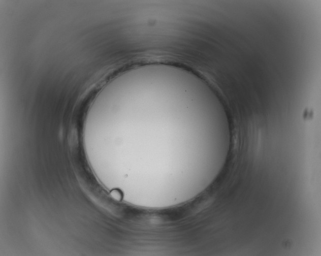 X0000114670254200910211016