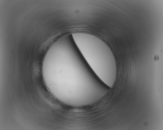 X0000114670255200910211016