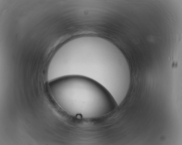 X0000114670256200910211016