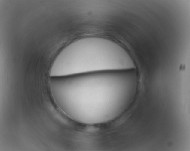 X0000114670257200910211016