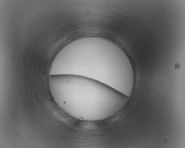 X0000114670258200910211016