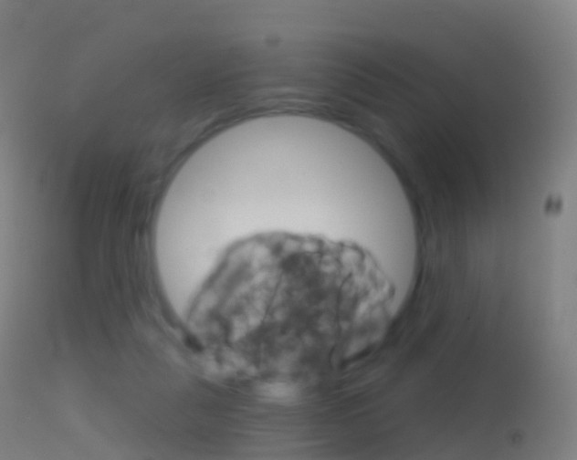 X0000114670259200910211016