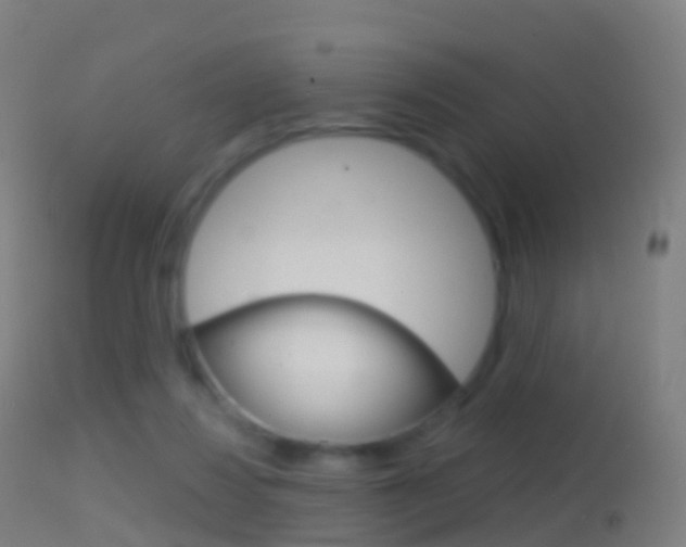X0000114670260200910211016
