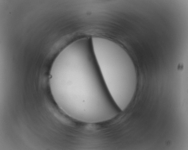 X0000114670261200910211016