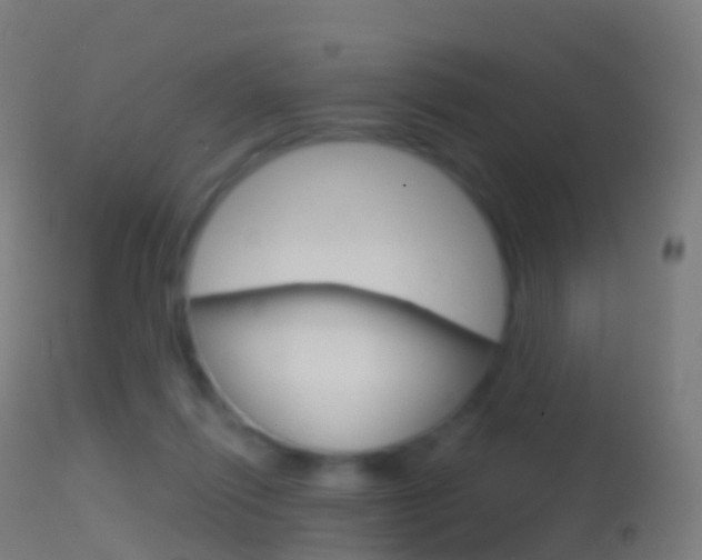 X0000114670262200910211016