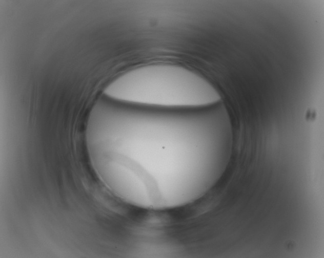 X0000114670263200910211016