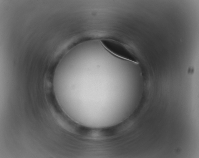 X0000114670264200910211016