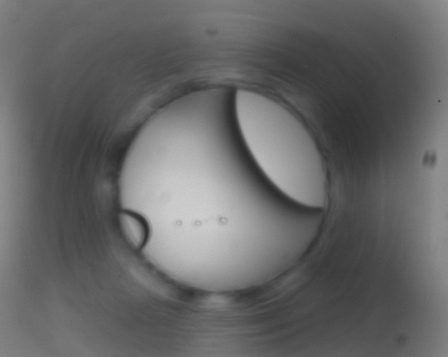 X0000114670265200910211016
