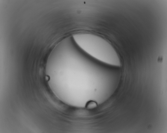 X0000114670266200910211016