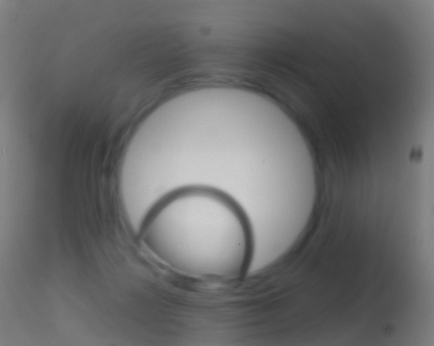 X0000114670268200910211016