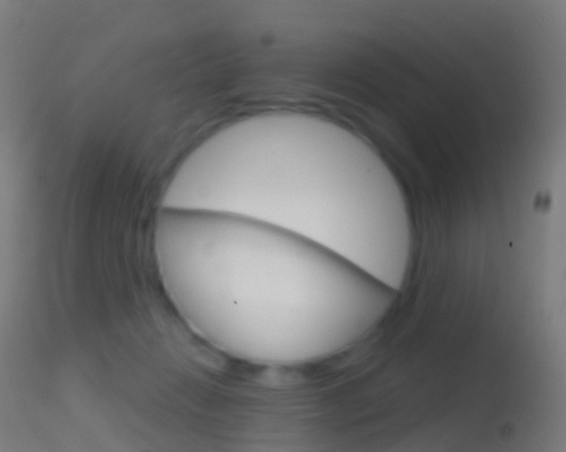 X0000114670270200910211016
