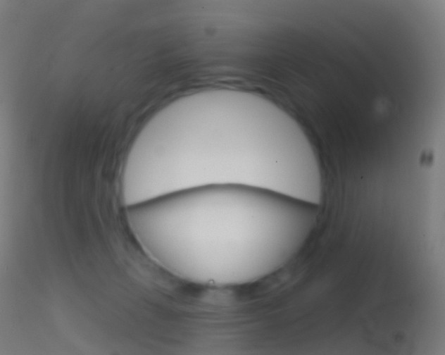 X0000114670271200910211016