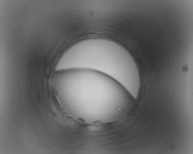 X0000114670272200910211016