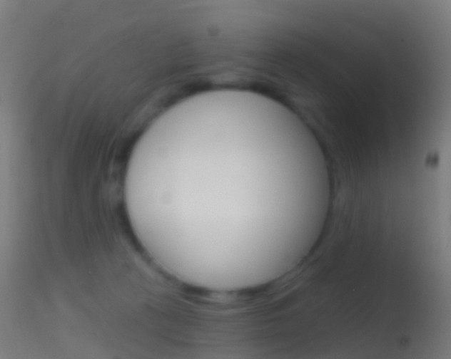 X0000114670273200910211016