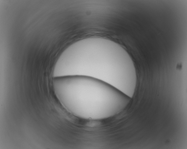 X0000114670274200910211016