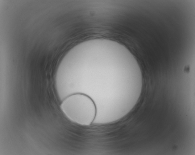 X0000114670276200910211016