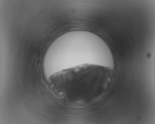 X0000114670277200910211016