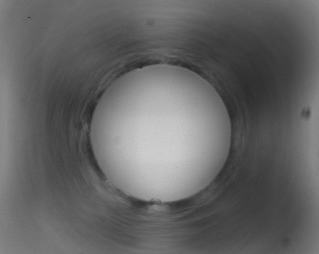 X0000114670279200910211016