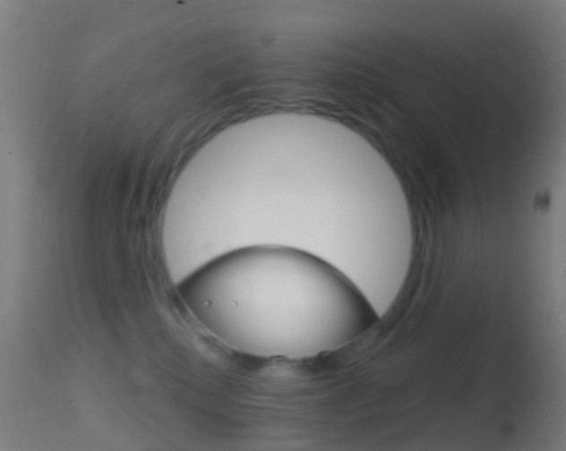X0000114670280200910211016