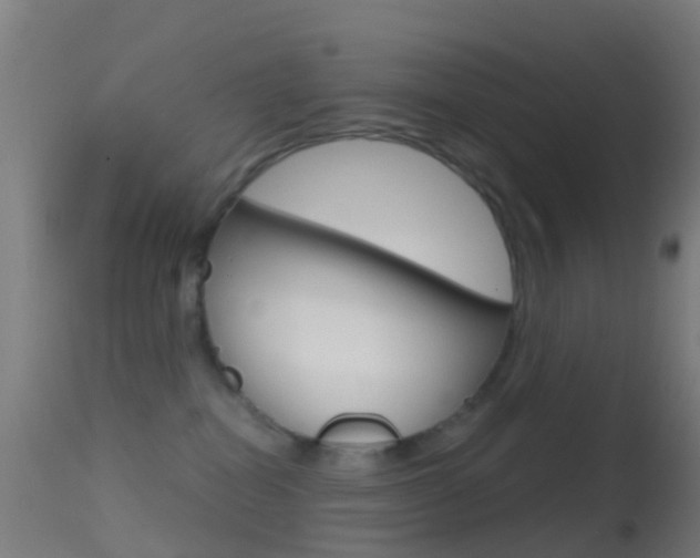 X0000114670282200910211016