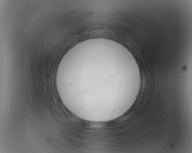 X0000114670283200910211016