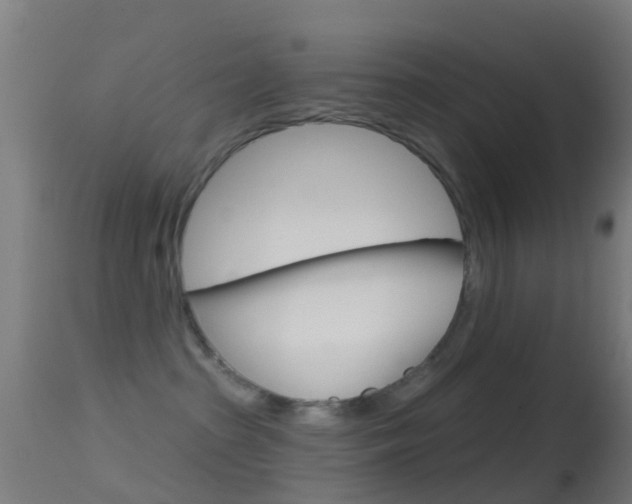 X0000114670285200910211016