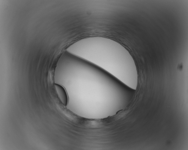 X0000114670286200910211016