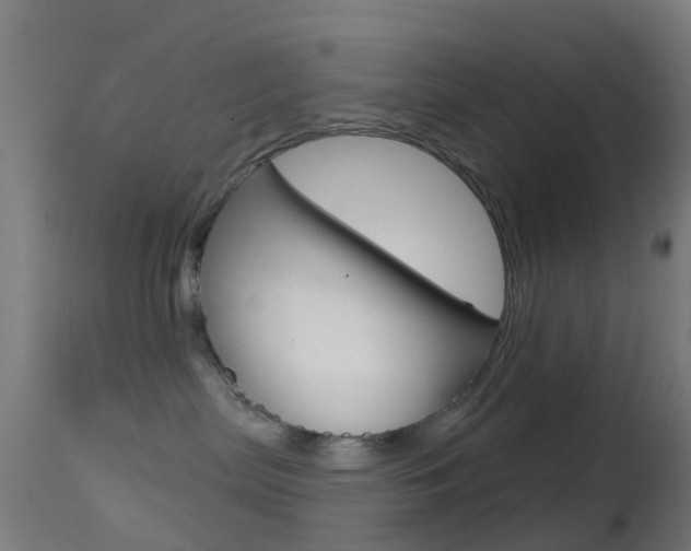 X0000114670287200910211016