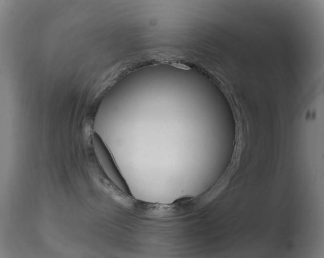 X0000114670288200910211016