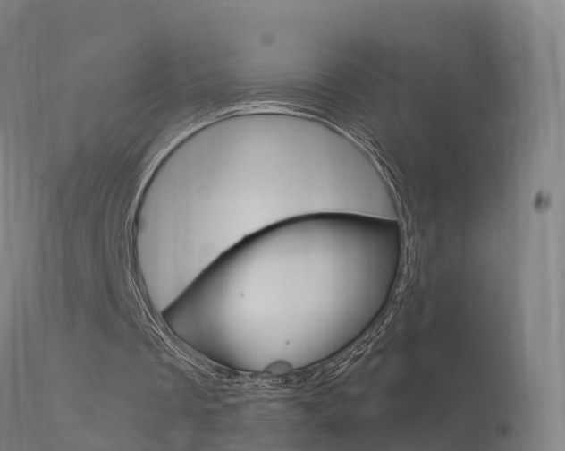 X0000114670289200910211015