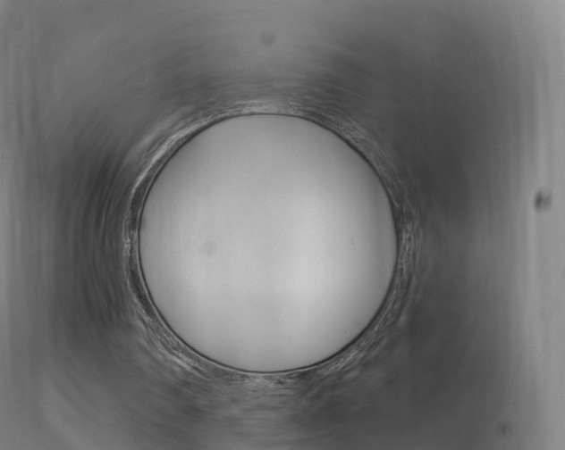 X0000114670290200910211015
