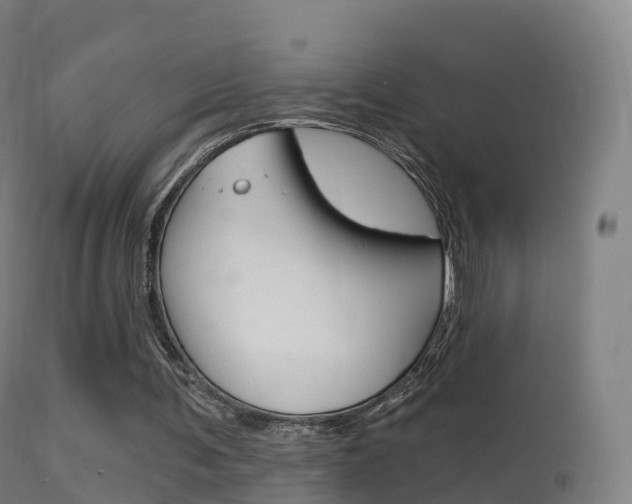 X0000114670291200910211015