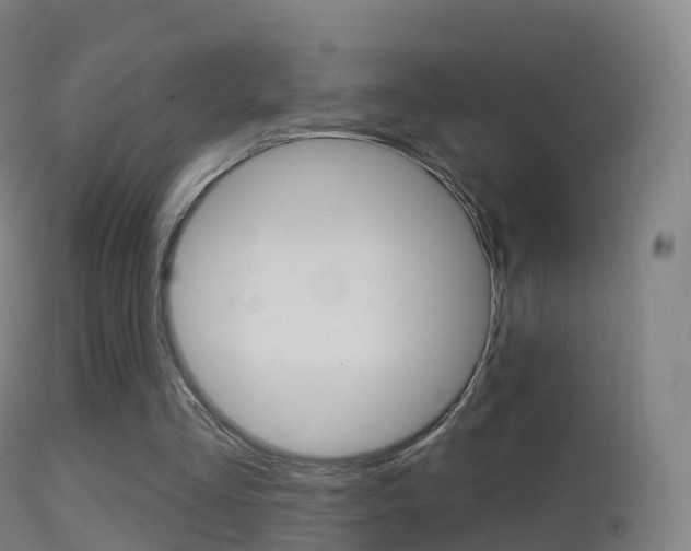 X0000114670293200910211015