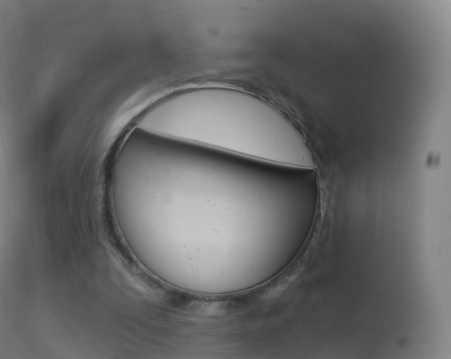 X0000114670295200910211015