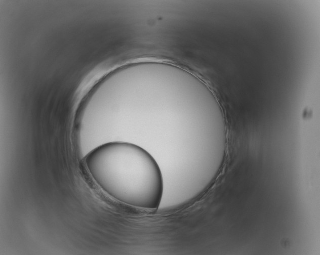 X0000114670296200910211015