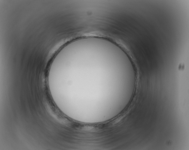 X0000114670298200910211015