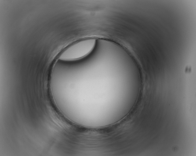 X0000114670299200910211015
