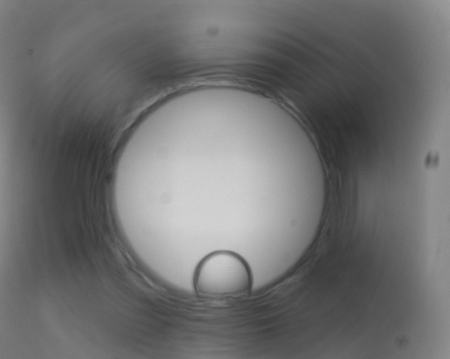X0000114670301200910211015