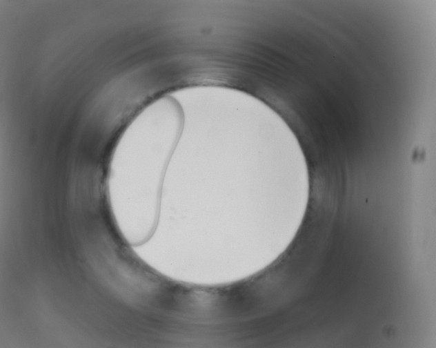 X0000114670302200910211015