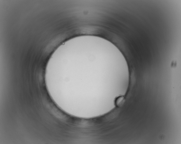 X0000114670305200910211015