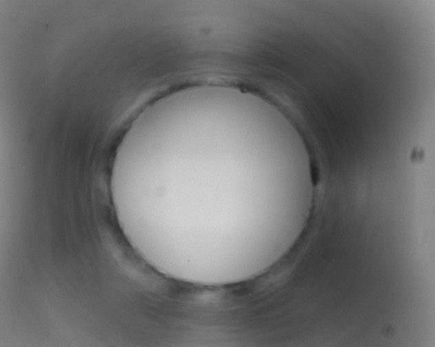 X0000114670306200910211015