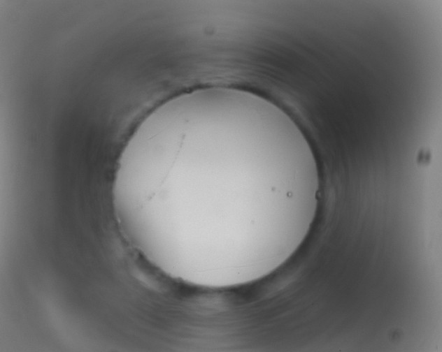 X0000114670307200910211015
