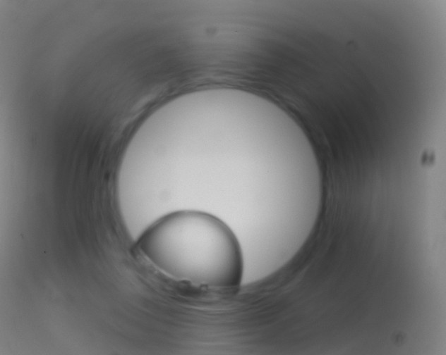 X0000114670308200910211015