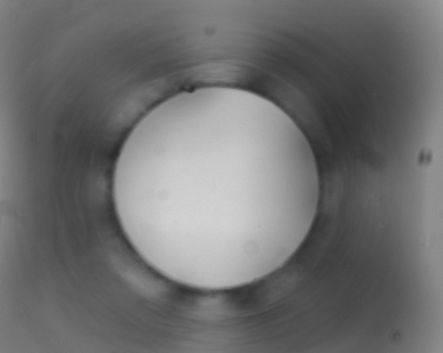 X0000114670309200910211015