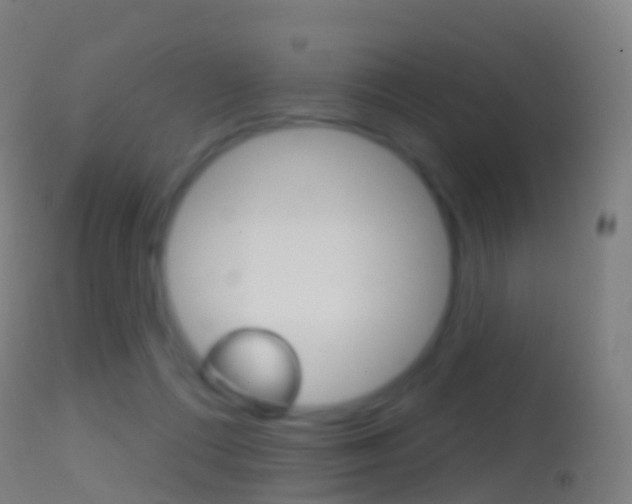 X0000114670312200910211015