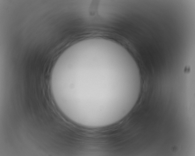 X0000114670313200910211015
