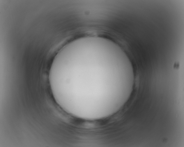 X0000114670314200910211015