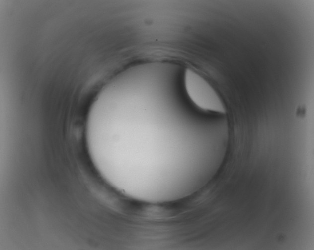 X0000114670315200910211015