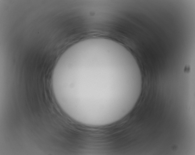 X0000114670317200910211015
